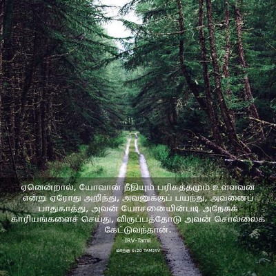 Picture 03 - மாற்கு 6:20 TAMIRV - ஏனென்றால், யோவான் - Bible Verse Picture