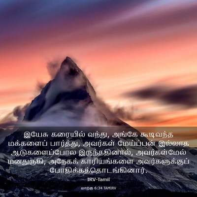 Picture 03 - மாற்கு 6:34 TAMIRV - இயேசு கரையில் - Bible Verse Picture