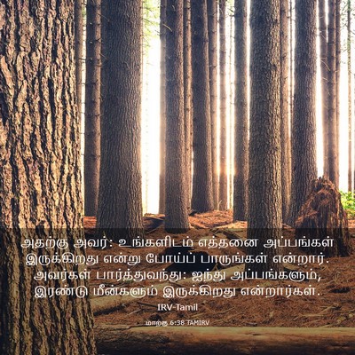 Picture 03 - மாற்கு 6:38 TAMIRV - அதற்கு அவர்: - Bible Verse Picture