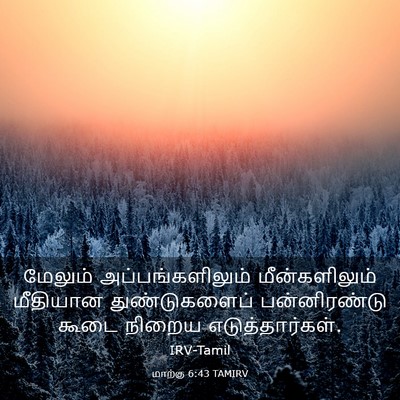 Picture 03 - மாற்கு 6:43 TAMIRV - மேலும் - Bible Verse Picture