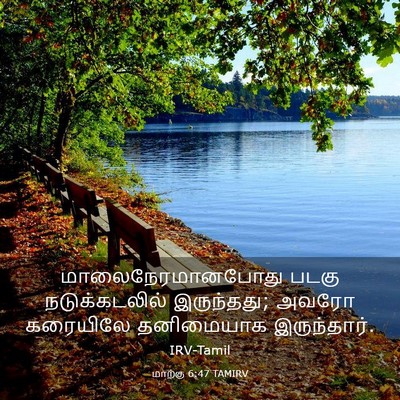 Picture 03 - மாற்கு 6:47 TAMIRV - மாலைநேரமானபோது - Bible Verse Picture