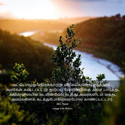 Picture 03 - மாற்கு 6:48 TAMIRV - அப்பொழுது - Bible Verse Picture