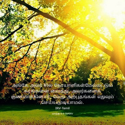 Picture 03 - மாற்கு 6:5 TAMIRV - அங்கே அவர் சில - Bible Verse Picture