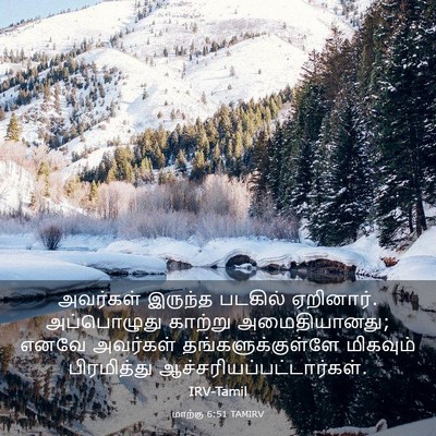 Picture 03 - மாற்கு 6:51 TAMIRV - அவர்கள் இருந்த - Bible Verse Picture
