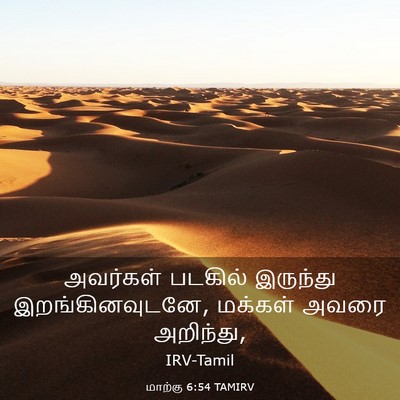 Picture 03 - மாற்கு 6:54 TAMIRV - அவர்கள் படகில் - Bible Verse Picture