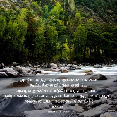 Picture 03 - மாற்கு 7:33 TAMIRV - அப்பொழுது, அவர் - Bible Verse Picture