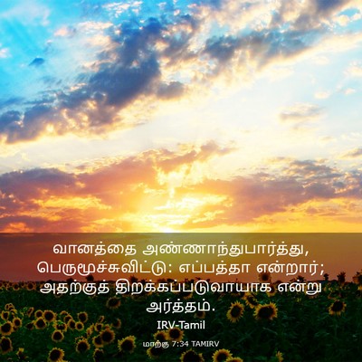 Picture 03 - மாற்கு 7:34 TAMIRV - வானத்தை - Bible Verse Picture