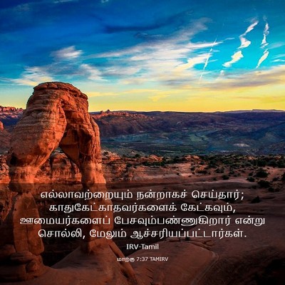 Picture 03 - மாற்கு 7:37 TAMIRV - எல்லாவற்றையும் - Bible Verse Picture
