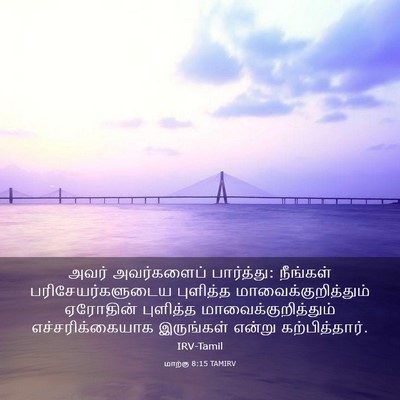 Picture 03 - மாற்கு 8:15 TAMIRV - அவர் அவர்களைப் - Bible Verse Picture