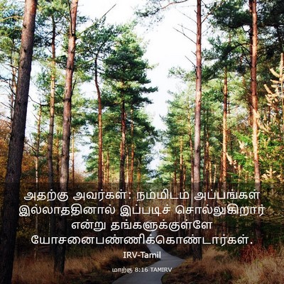 Picture 03 - மாற்கு 8:16 TAMIRV - அதற்கு அவர்கள்: - Bible Verse Picture
