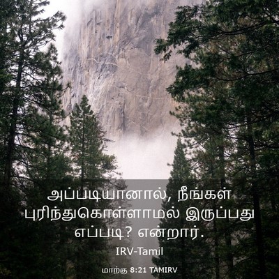 Picture 03 - மாற்கு 8:21 TAMIRV - அப்படியானால், - Bible Verse Picture