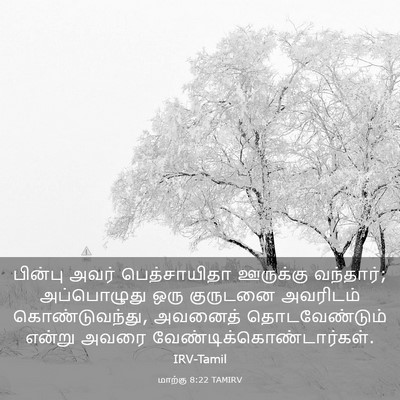 Picture 03 - மாற்கு 8:22 TAMIRV - பின்பு அவர் - Bible Verse Picture