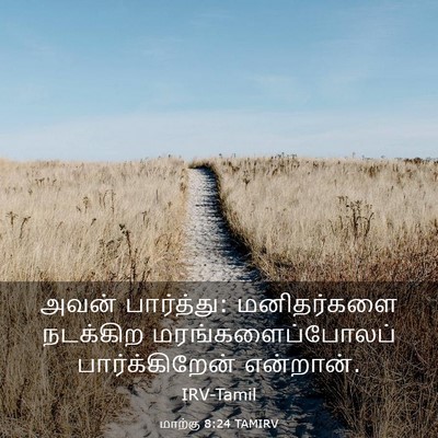 Picture 03 - மாற்கு 8:24 TAMIRV - அவன் பார்த்து: - Bible Verse Picture