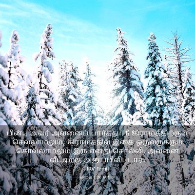 Picture 03 - மாற்கு 8:26 TAMIRV - பின்பு அவர் - Bible Verse Picture