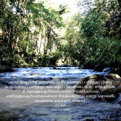 Picture 03 - மாற்கு 8:33 TAMIRV - அவர் திரும்பித் - Bible Verse Picture