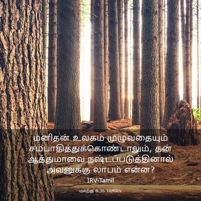 Picture 03 - மாற்கு 8:36 TAMIRV - மனிதன் உலகம் - Bible Verse Picture