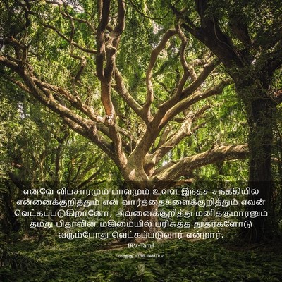 Picture 03 - மாற்கு 8:38 TAMIRV - எனவே விபசாரமும் - Bible Verse Picture