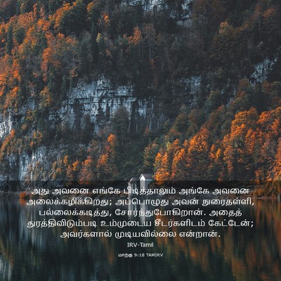 Picture 03 - மாற்கு 9:18 TAMIRV - அது அவனை எங்கே - Bible Verse Picture