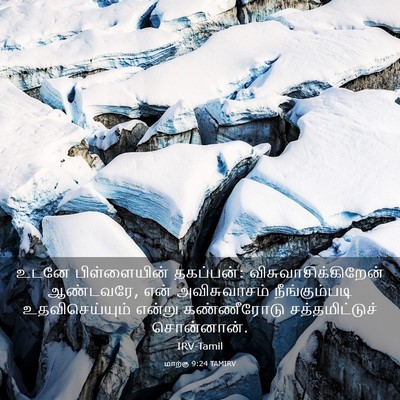 Picture 03 - மாற்கு 9:24 TAMIRV - உடனே பிள்ளையின் - Bible Verse Picture