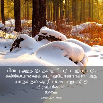 Picture 03 - மாற்கு 9:30 TAMIRV - பின்பு அந்த - Bible Verse Picture