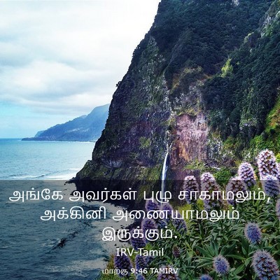 Picture 03 - மாற்கு 9:46 TAMIRV - அங்கே அவர்கள் - Bible Verse Picture