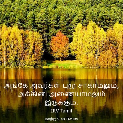 Picture 03 - மாற்கு 9:48 TAMIRV - அங்கே அவர்கள் - Bible Verse Picture