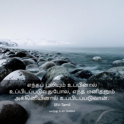 Picture 03 - மாற்கு 9:49 TAMIRV - எந்தப் பலியும் - Bible Verse Picture