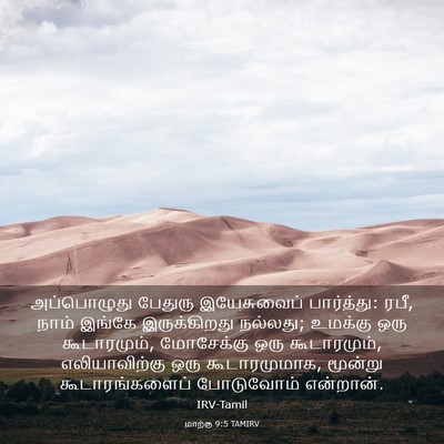 Picture 03 - மாற்கு 9:5 TAMIRV - அப்பொழுது பேதுரு - Bible Verse Picture