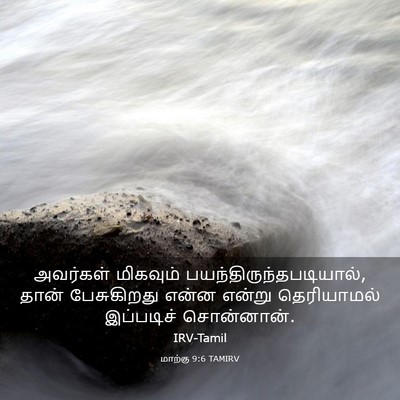Picture 03 - மாற்கு 9:6 TAMIRV - அவர்கள் மிகவும் - Bible Verse Picture