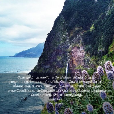 Picture 03 - மீகா 1:1 TAMIRV - யோதாம், ஆகாஸ், - Bible Verse Picture