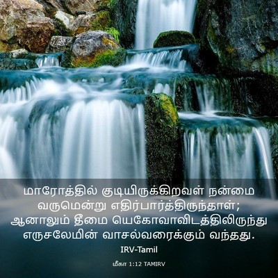 Picture 03 - மீகா 1:12 TAMIRV - மாரோத்தில் - Bible Verse Picture