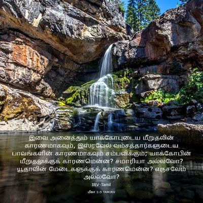 Picture 03 - மீகா 1:5 TAMIRV - இவை அனைத்தும் - Bible Verse Picture