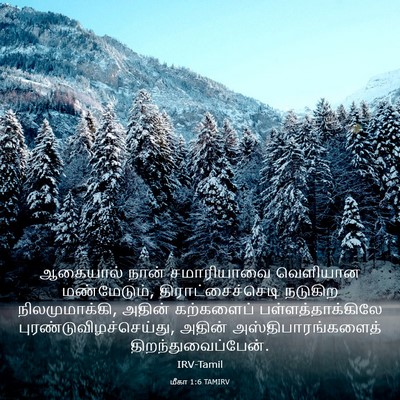 Picture 03 - மீகா 1:6 TAMIRV - ஆகையால் நான் - Bible Verse Picture
