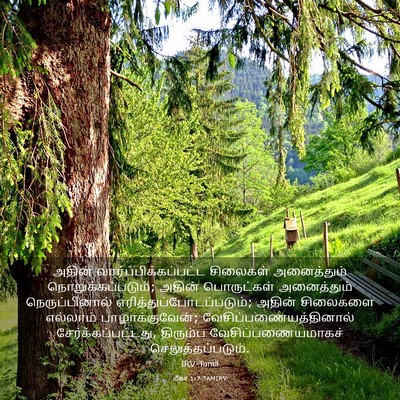 Picture 03 - மீகா 1:7 TAMIRV - அதின் - Bible Verse Picture