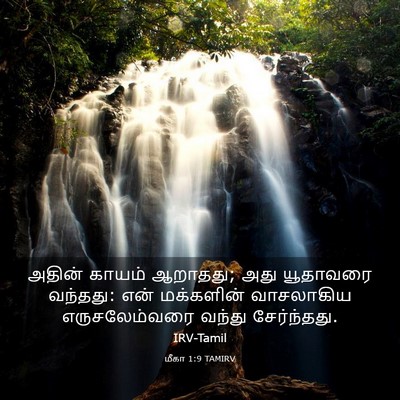 Picture 03 - மீகா 1:9 TAMIRV - அதின் காயம் - Bible Verse Picture