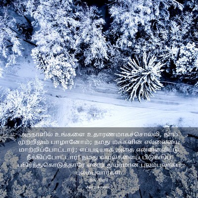 Picture 03 - மீகா 2:4 TAMIRV - அந்நாளில் உங்களை - Bible Verse Picture