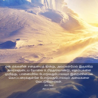 Picture 03 - மீகா 3:3 TAMIRV - என் மக்களின் - Bible Verse Picture