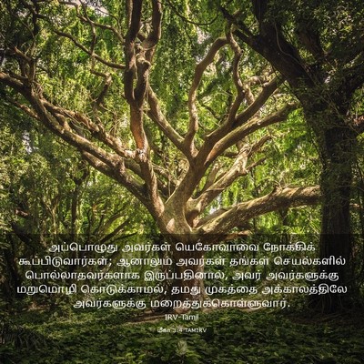 Picture 03 - மீகா 3:4 TAMIRV - அப்பொழுது அவர்கள் - Bible Verse Picture