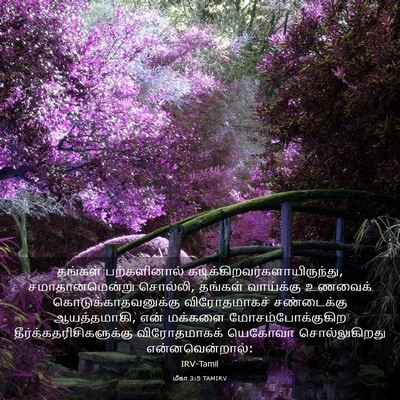 Picture 03 - மீகா 3:5 TAMIRV - தங்கள் பற்களினால் - Bible Verse Picture