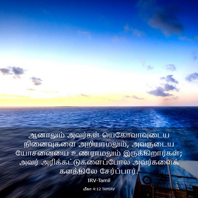 Picture 03 - மீகா 4:12 TAMIRV - ஆனாலும் அவர்கள் - Bible Verse Picture