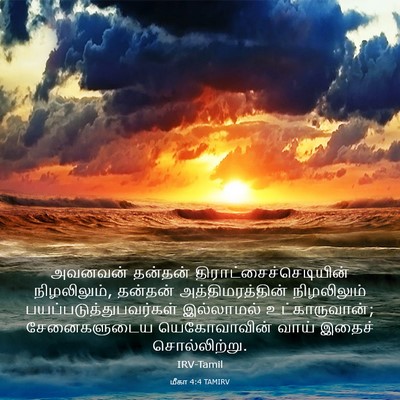 Picture 03 - மீகா 4:4 TAMIRV - அவனவன் தன்தன் - Bible Verse Picture