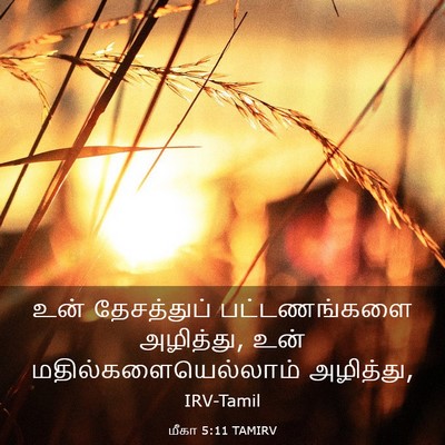 Picture 03 - மீகா 5:11 TAMIRV - உன் தேசத்துப் - Bible Verse Picture