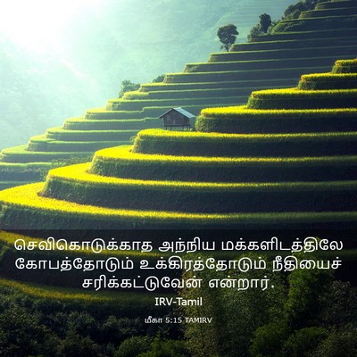 Picture 03 - மீகா 5:15 TAMIRV - செவிகொடுக்காத - Bible Verse Picture