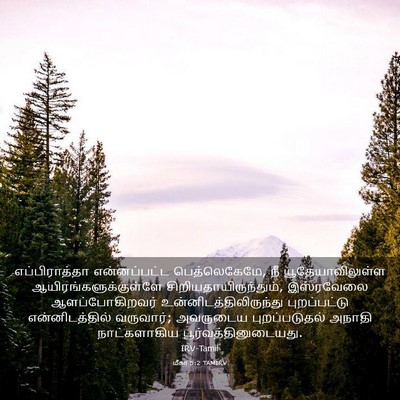 Picture 03 - மீகா 5:2 TAMIRV - எப்பிராத்தா - Bible Verse Picture