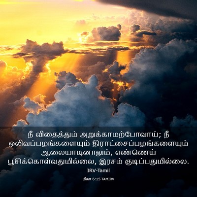 Picture 03 - மீகா 6:15 TAMIRV - நீ விதைத்தும் - Bible Verse Picture