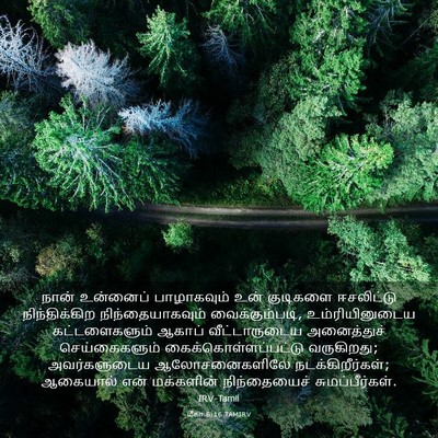 Picture 03 - மீகா 6:16 TAMIRV - நான் உன்னைப் - Bible Verse Picture
