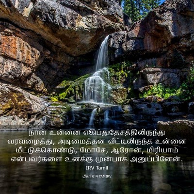Picture 03 - மீகா 6:4 TAMIRV - நான் உன்னை - Bible Verse Picture