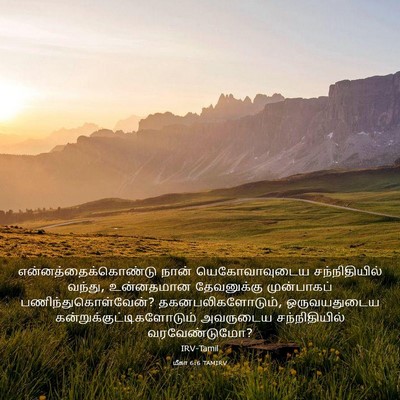 Picture 03 - மீகா 6:6 TAMIRV - என்னத்தைக்கொண்டு - Bible Verse Picture