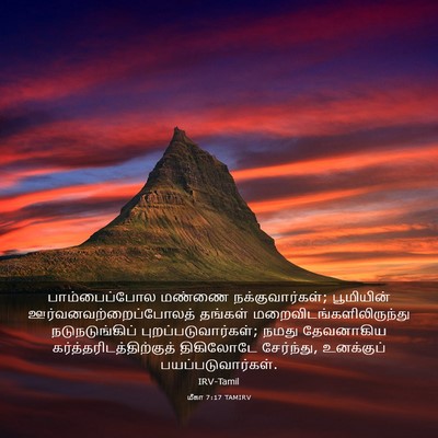 Picture 03 - மீகா 7:17 TAMIRV - பாம்பைப்போல மண்ணை - Bible Verse Picture