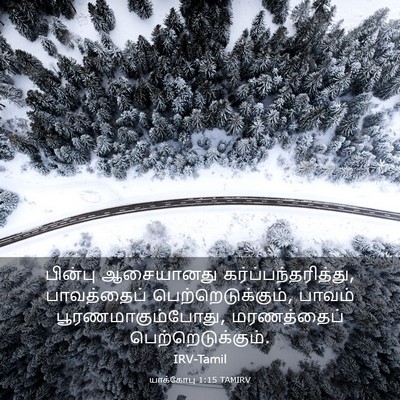 Picture 03 - யாக்கோபு 1:15 TAMIRV - பின்பு ஆசையானது - Bible Verse Picture